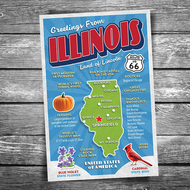 Greetings from Illinois Postcard
