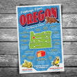 Greetings from Oregon Postcard
