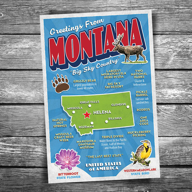 Greetings from Montana Postcard