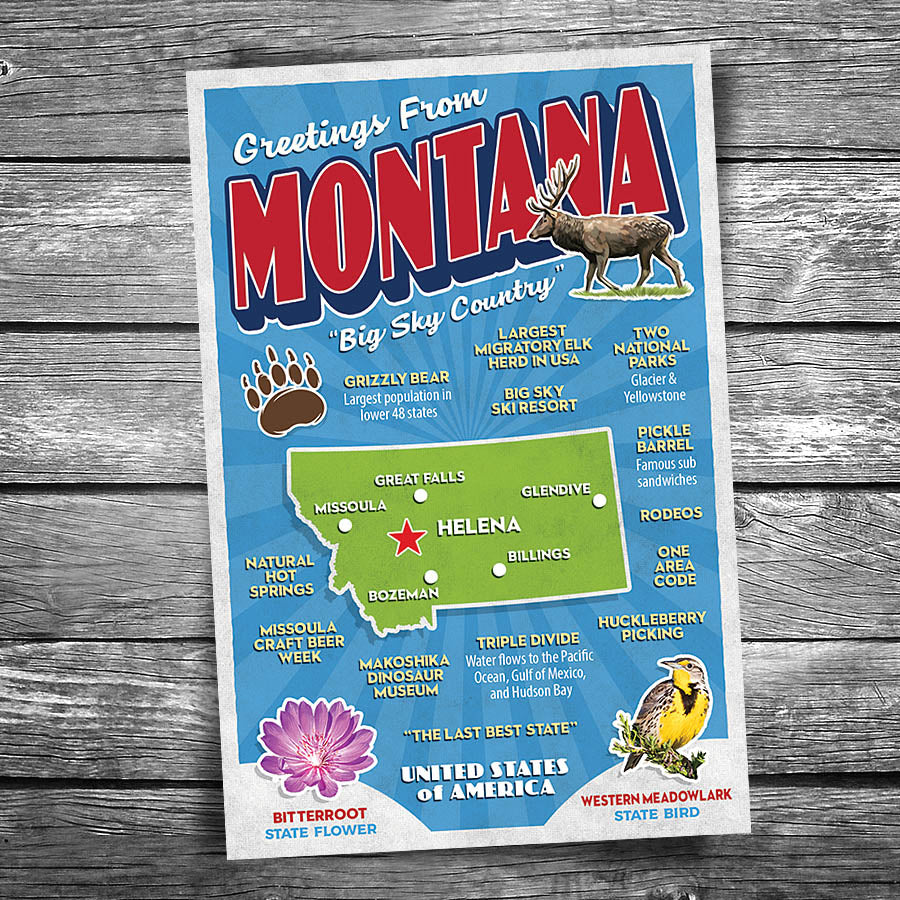 Greetings from Montana Postcard