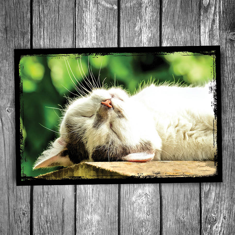 I Love Weekends Cat Postcard