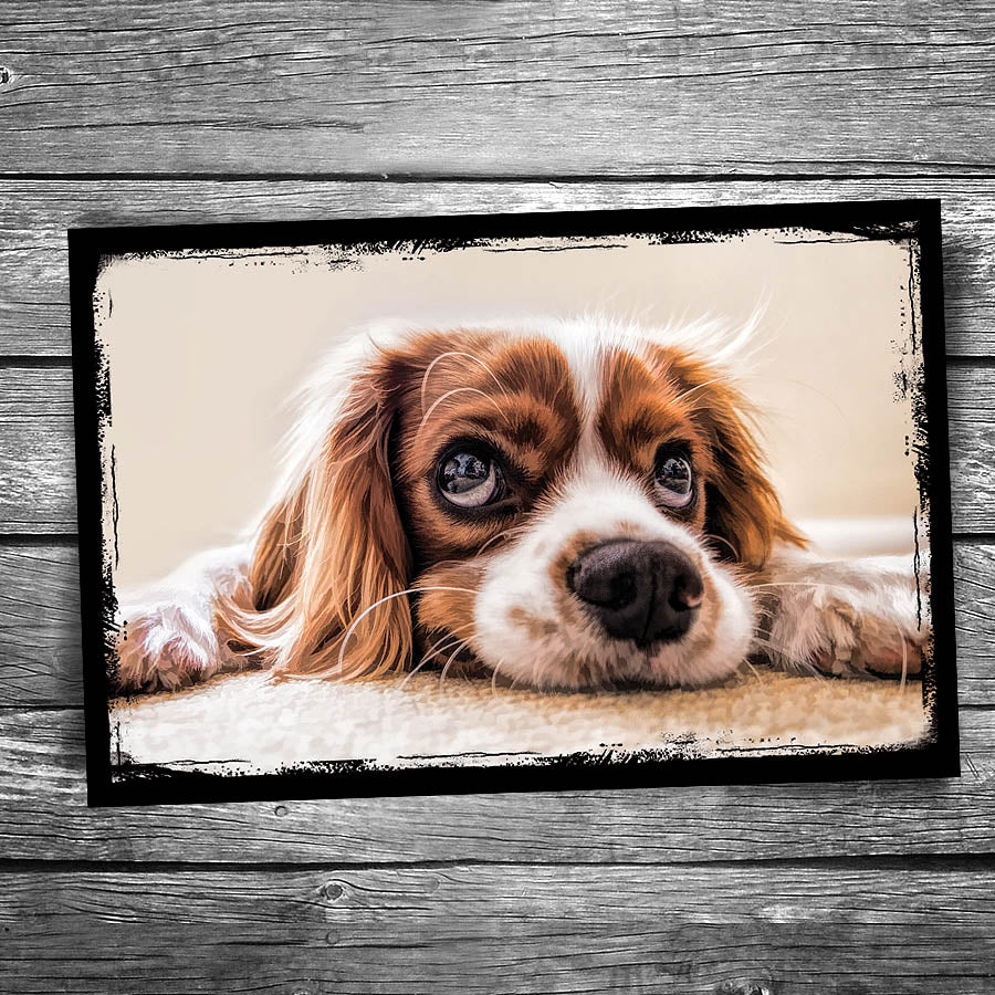 Waiting Dog Postcard