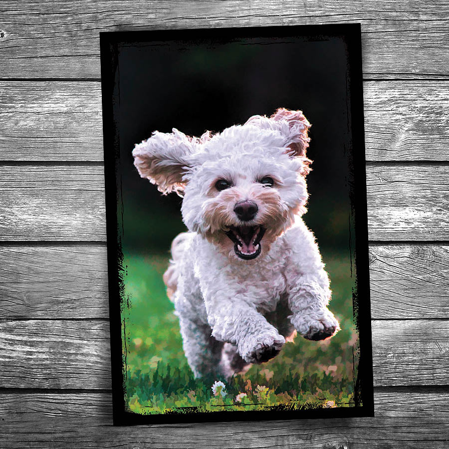 Joyful Dog Postcard