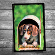 Dog in Mailbox Postcard