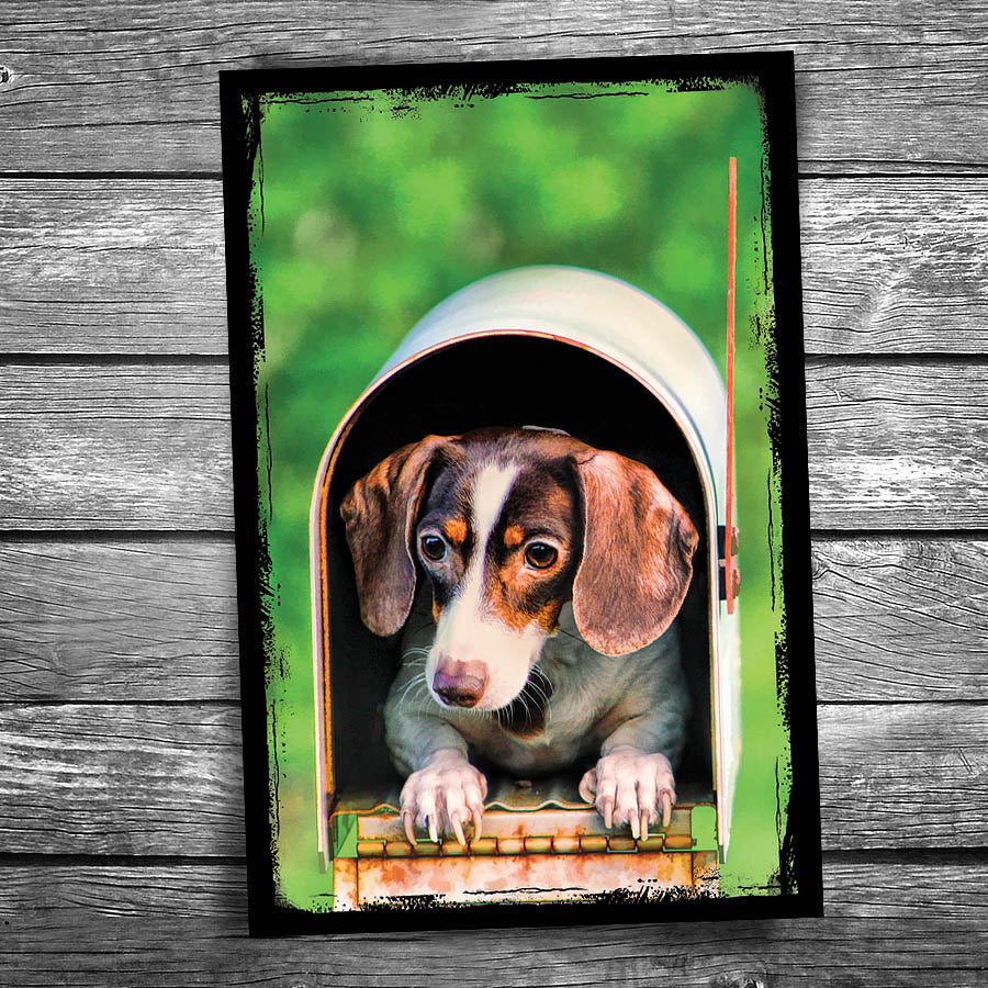 Dog in Mailbox Postcard