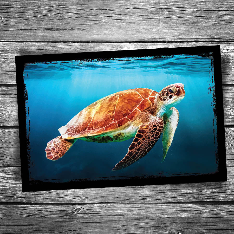 Sea Turtle Postcard