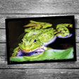 Frog Postcard