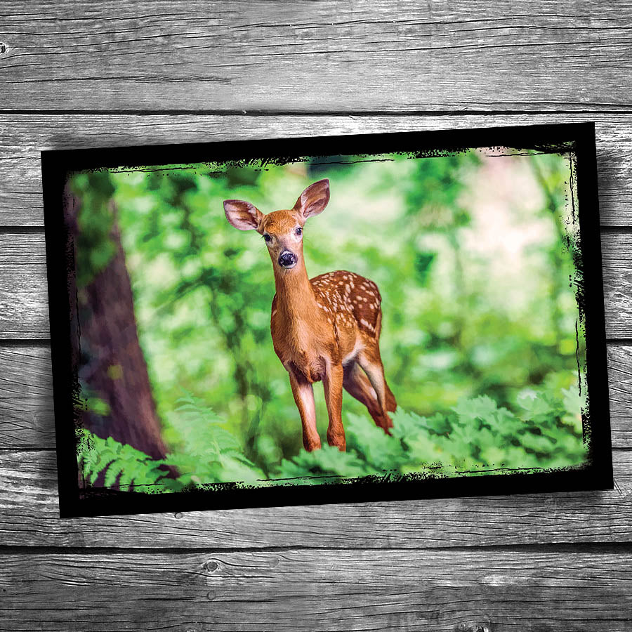 Deer Postcard