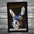 Donkey Postcard