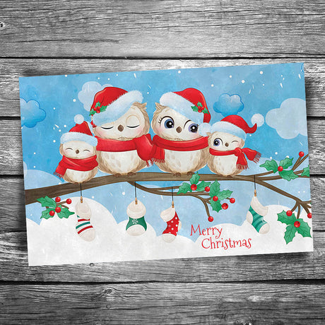 Winter Owls Christmas Postcard