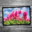 Tulip Postcard