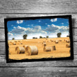 Hay Field Postcard