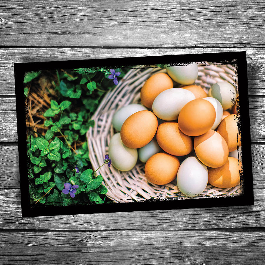Fresh Eggs Postcard