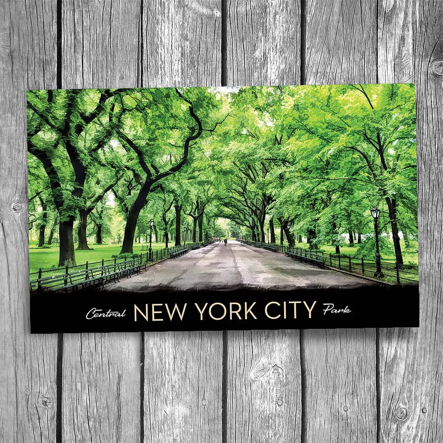 Central Park Mall New York City Postcard