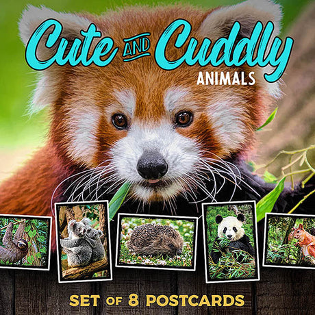 Cute and Cuddly Animals