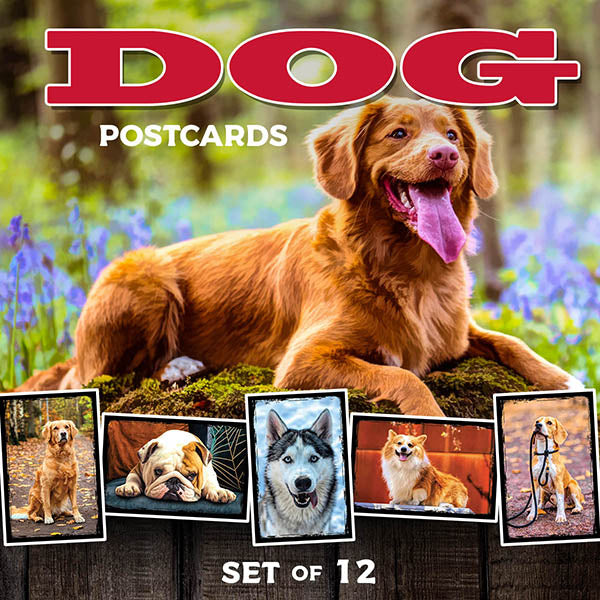 Brighten someone’s day with our new dog postcards