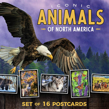 Iconic Animals of North America