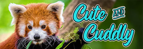 Cute and Cuddly Animals