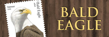 Bald Eagle - Hatchling to Adult Stamps