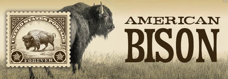 American Bison Stamp