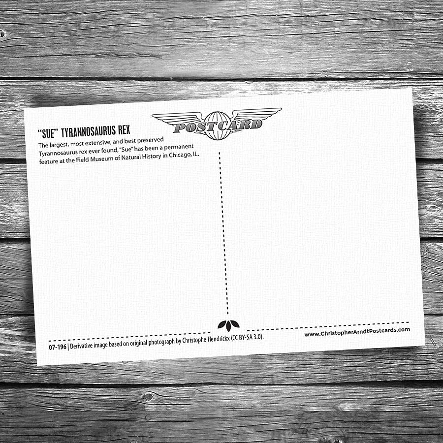 Chicago "Sue" Tyrannosaurus Rex Postcard