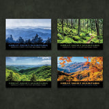 Smoky Mountains Postcards | Set of 7