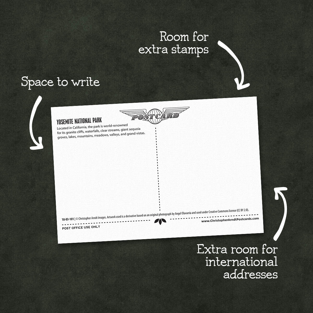 Yosemite National Park Postcards | Set of 7