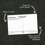 Yellowstone National Park Postcards | Set of 8