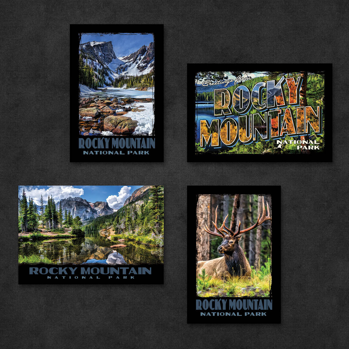 Rocky Mountain National Park Postcards | Set of 8