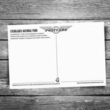 Everglades National Park Swamp Postcard