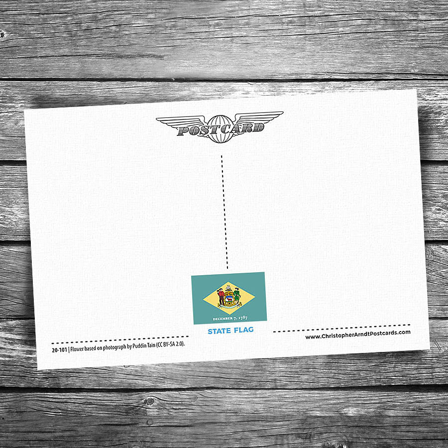 Greetings from Delaware Postcard