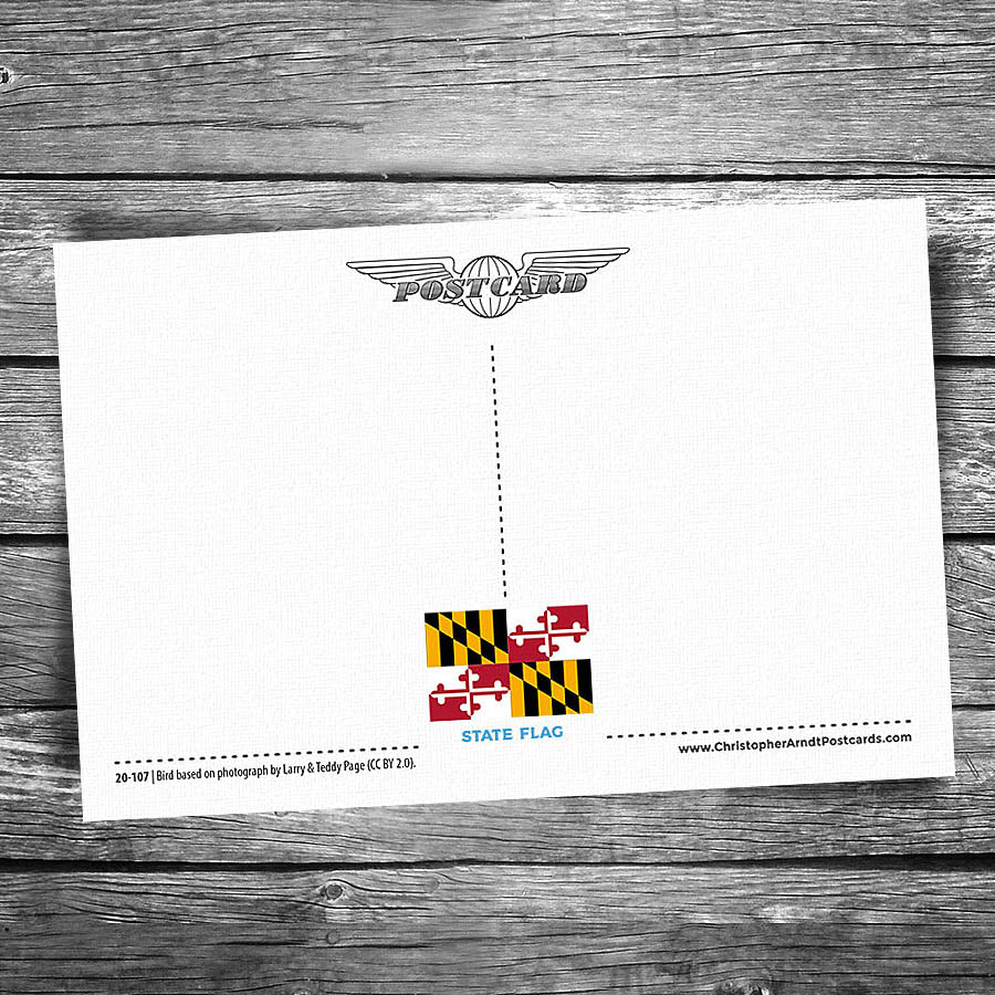 Greetings from Maryland Postcard