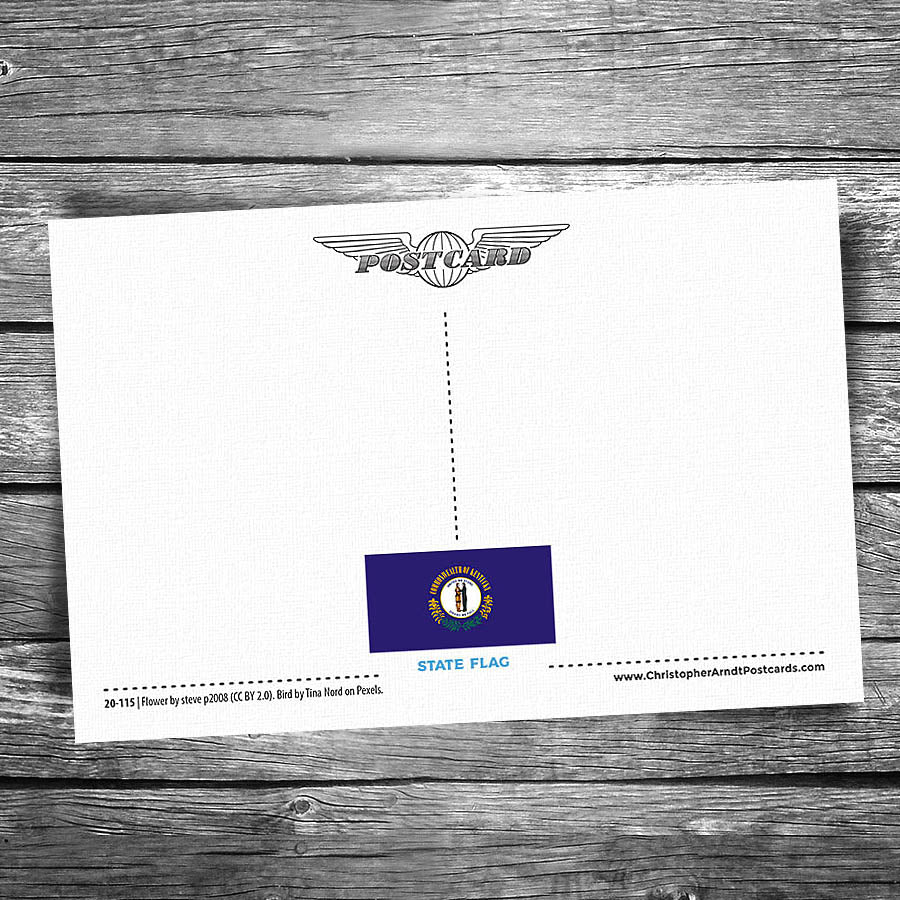 Greetings from Glasgow KY Postcard | Set of 8