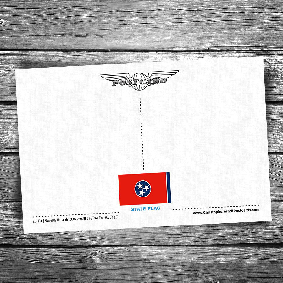 Greetings from Tennessee Postcard