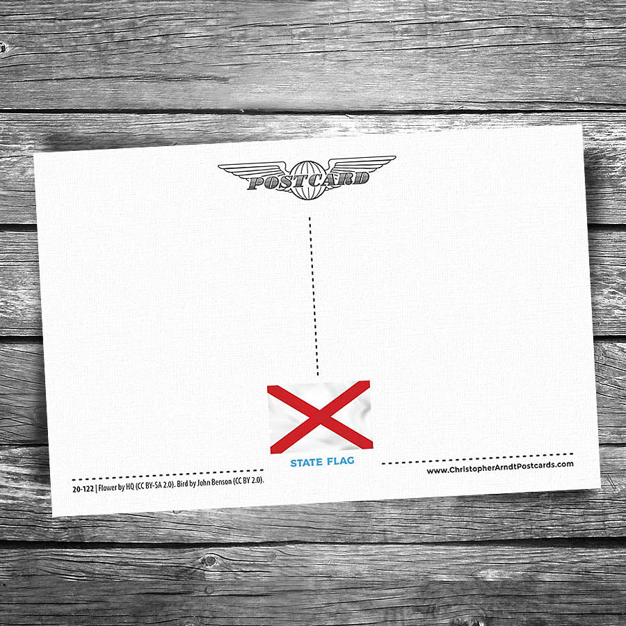 Greetings from Alabama Postcard