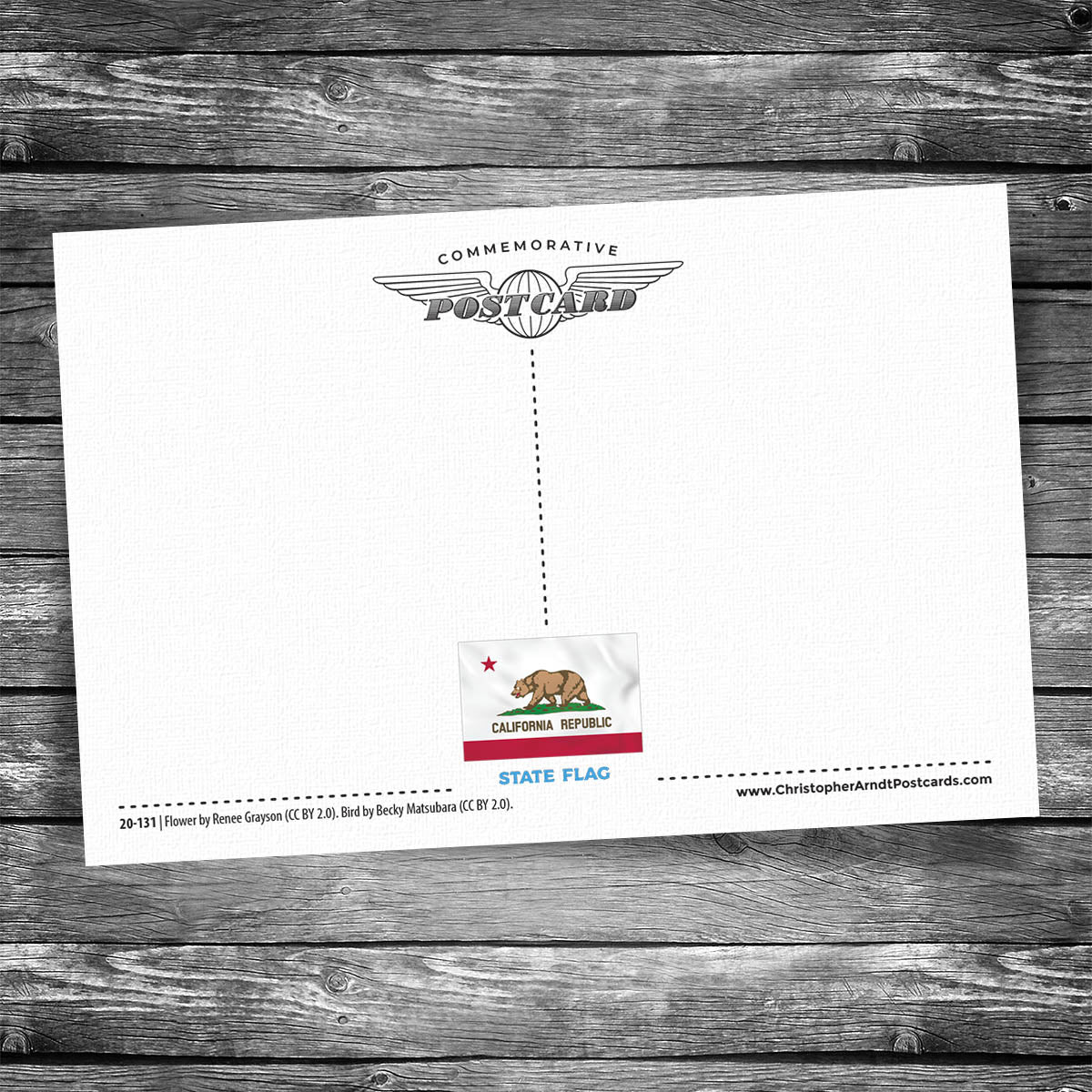 Greetings from California 175th Anniversary Postcard