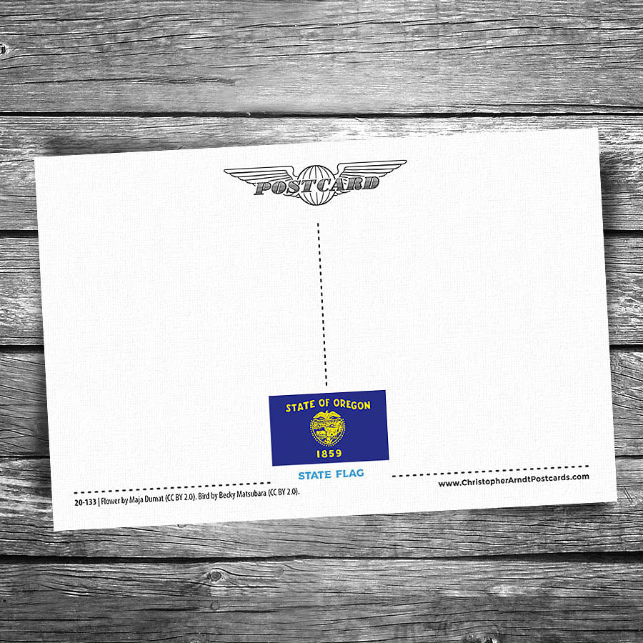 Greetings from Oregon Postcard