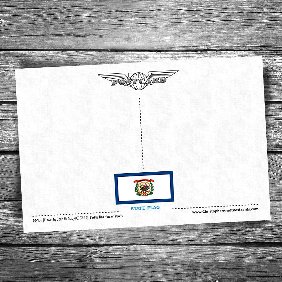 Greetings from Gillette WY Postcard | Set of 8