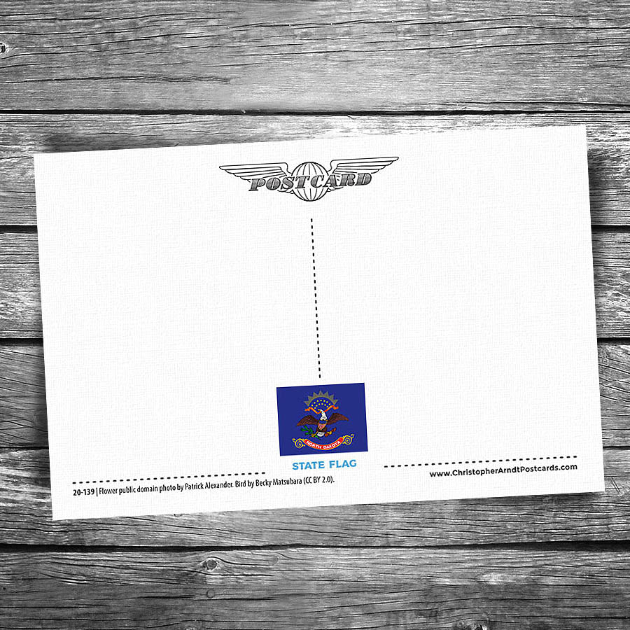 Greetings from North Dakota Postcard