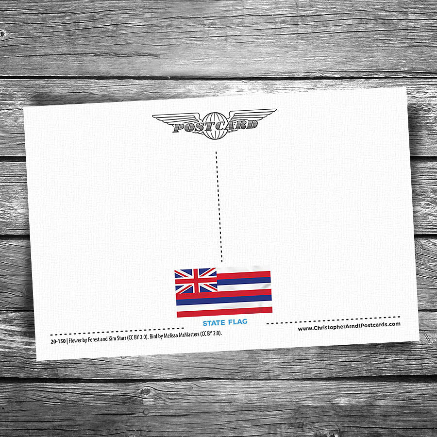 Greetings from Hawaii Postcard