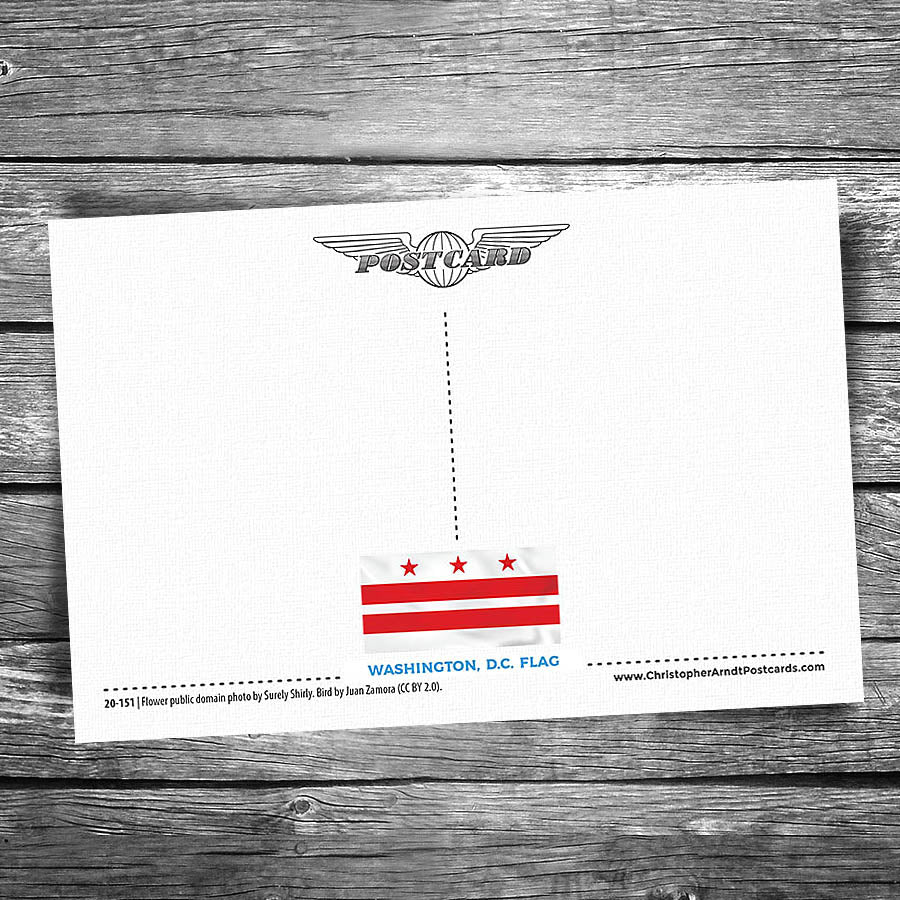 Greetings from Washington DC Postcard