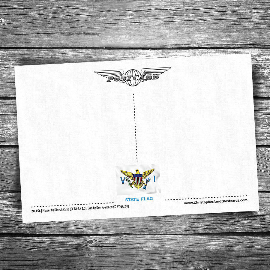 Greetings from US Virgin Islands Postcard