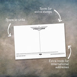 Cat and Kitten Postcards | Set of 12