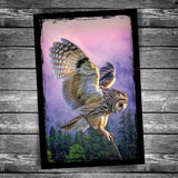Grand Arrival Owl Postcard