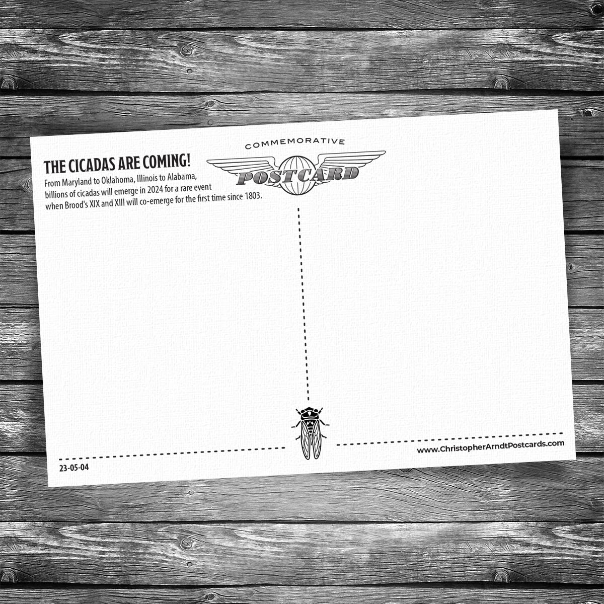 The Cicadas Are Coming Postcard