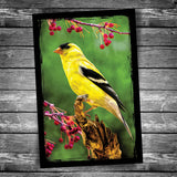 Goldfinch Postcard