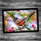 Robin Postcard