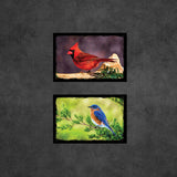 Birds of North America Postcards | Set of 12