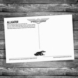 Alligator Postcard
