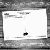 Bison Postcard